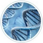 Дизайн лестницы вдохновлен спиралью ДНК